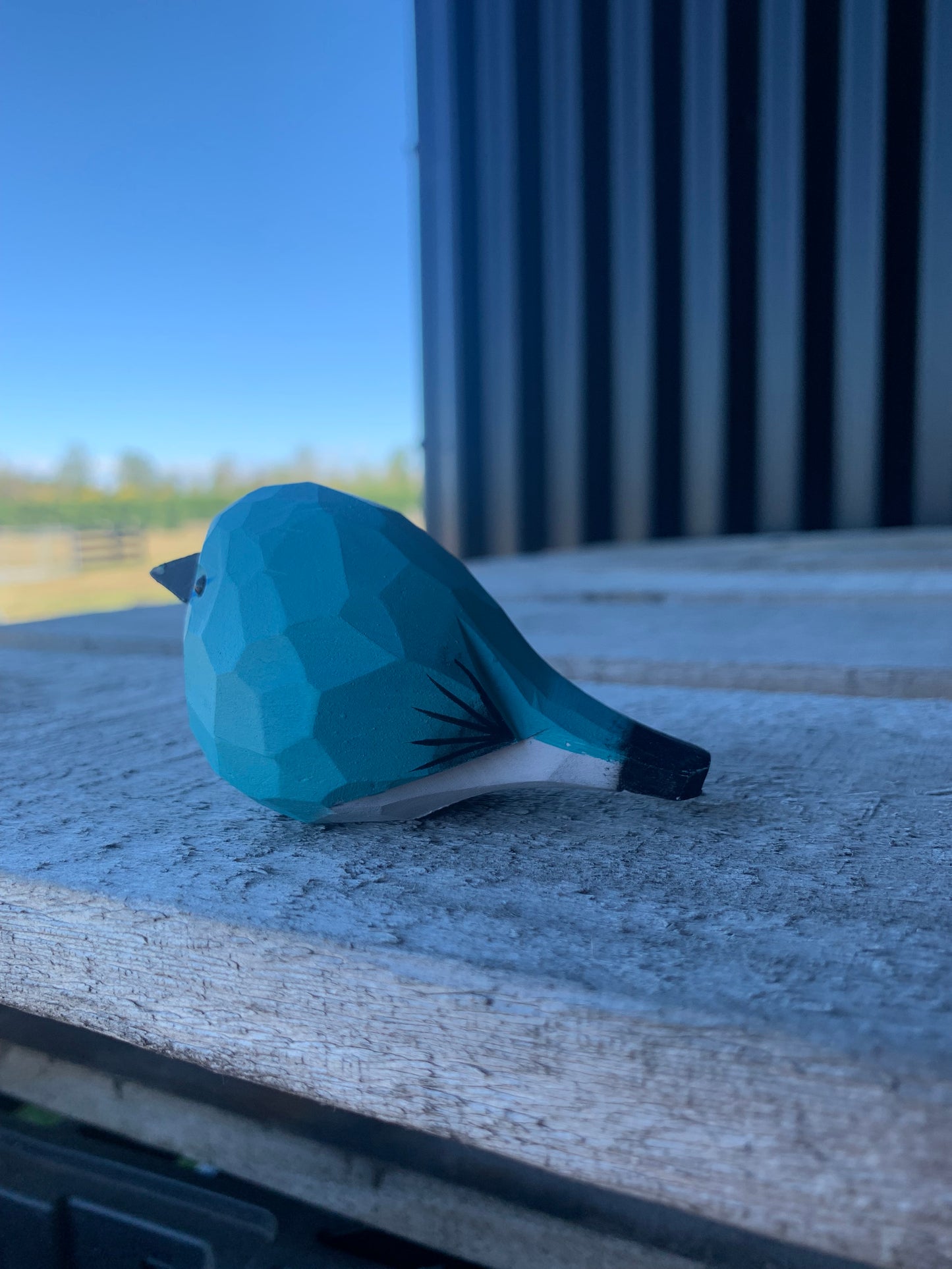 Bird - Little blue bird