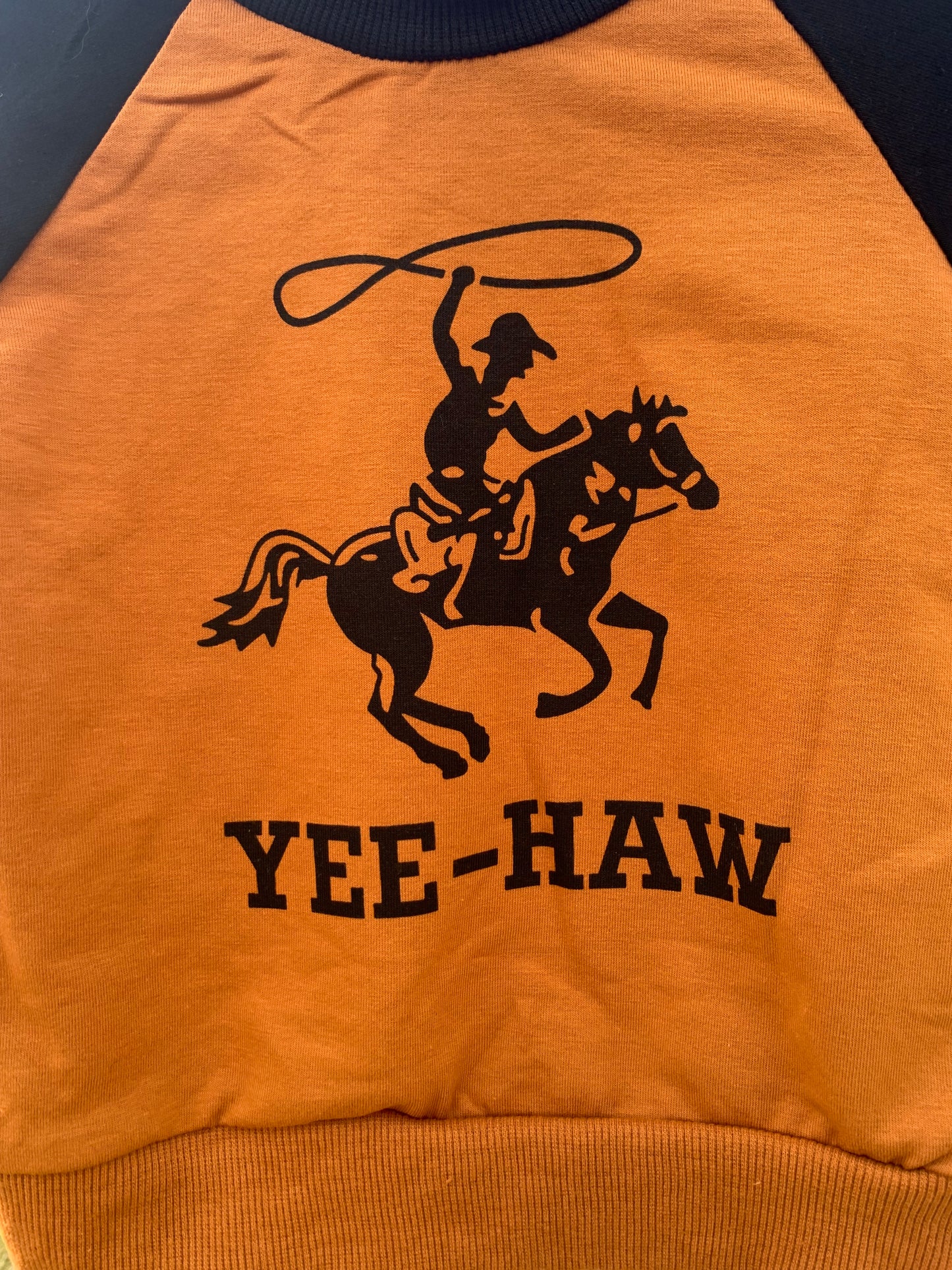 Yee-haw top & pants set 3-6 months