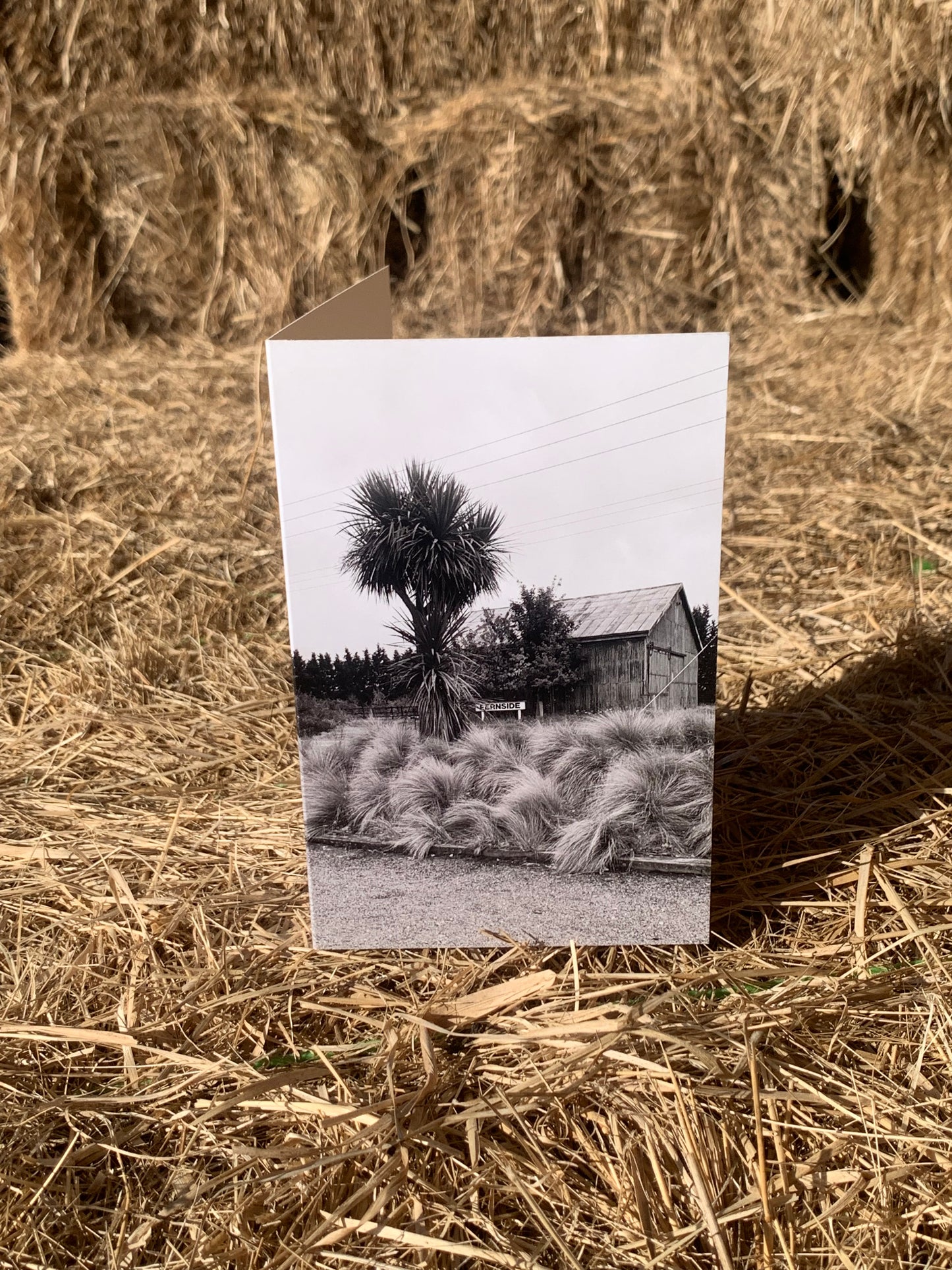 Greeting card - Fernside