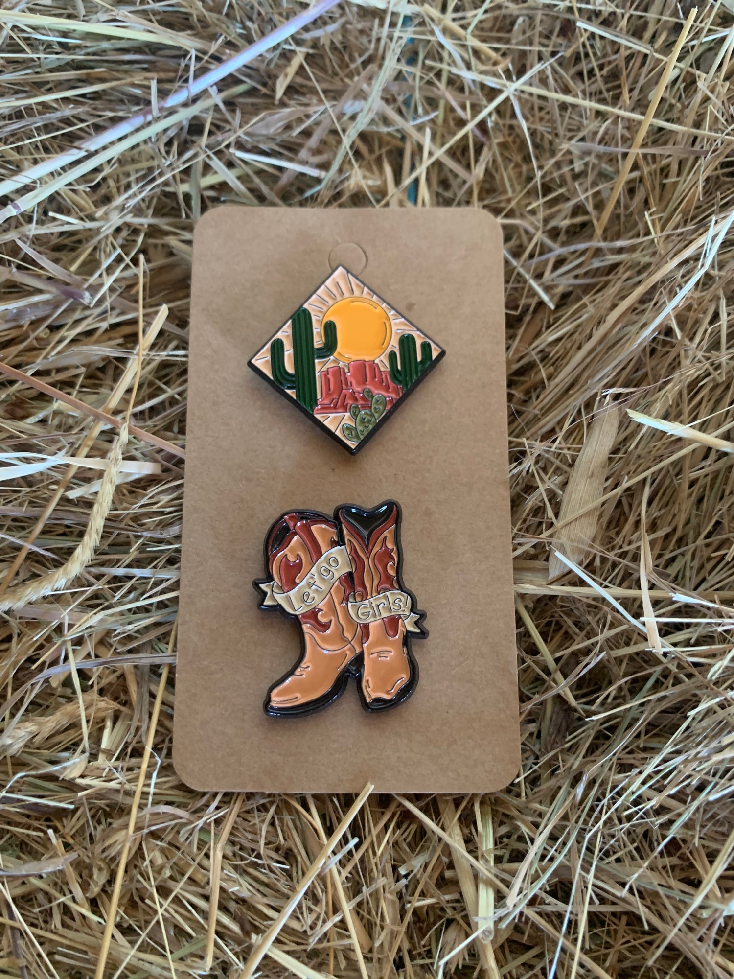 PINS