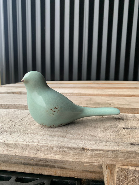 Blue pigeon