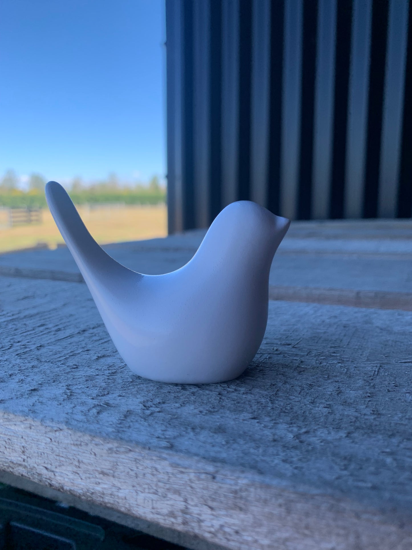 Bird - white