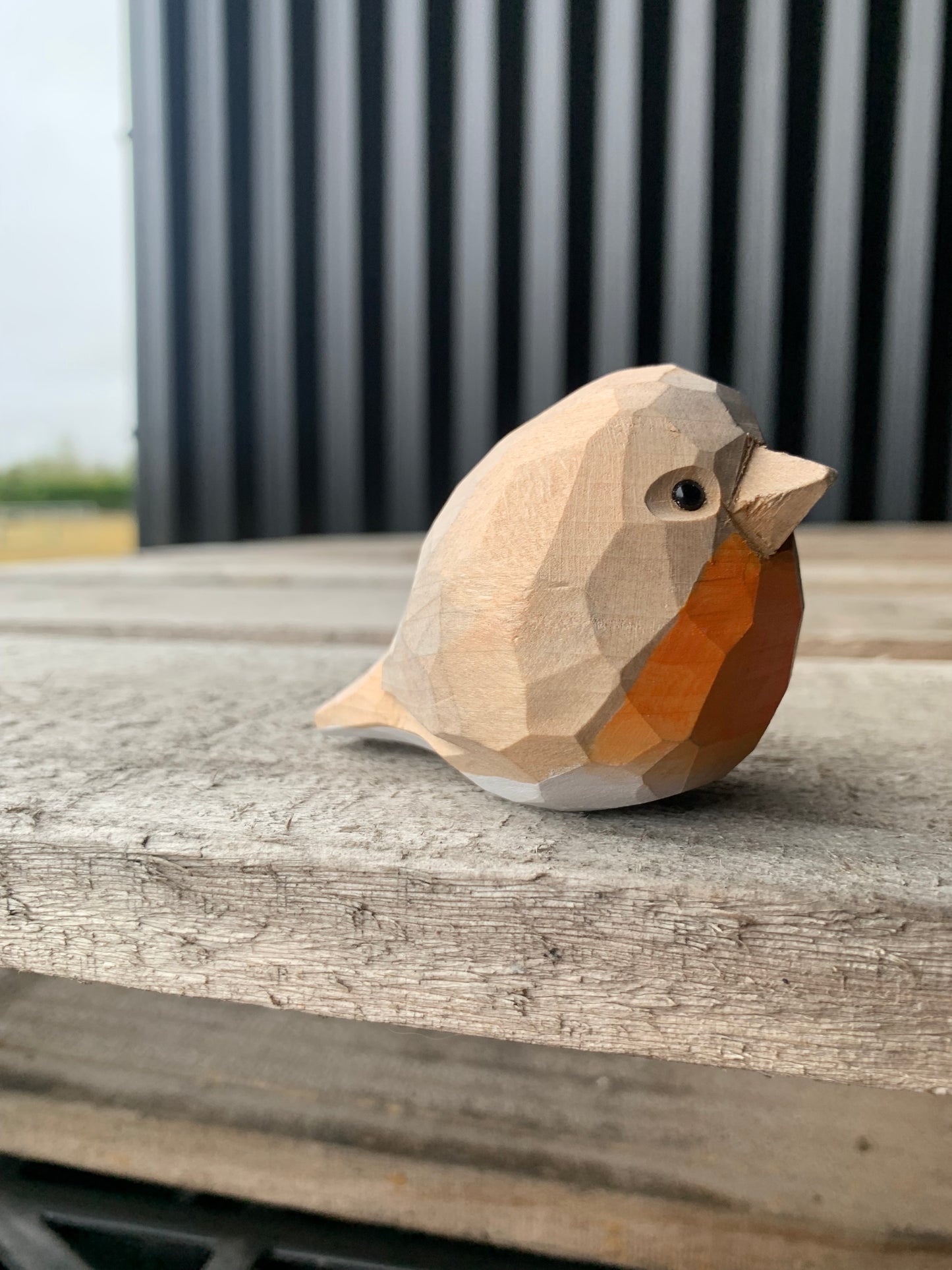 Bird - Little Robbin