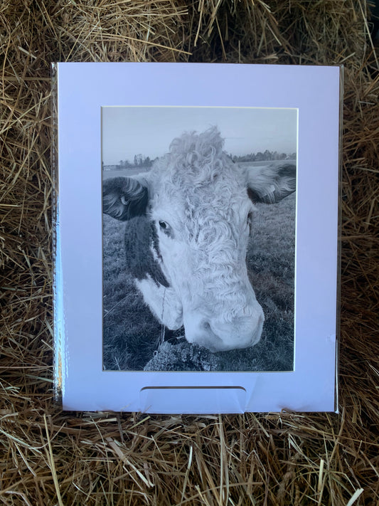 Copper - Large - Matted