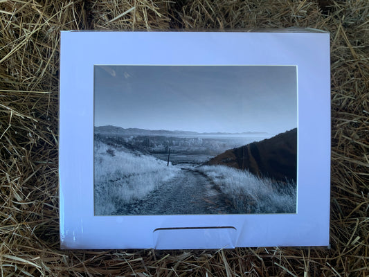 Old dirt road - Large - Matted