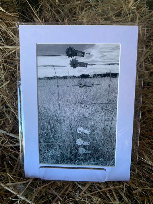 Fence - Small - Matted