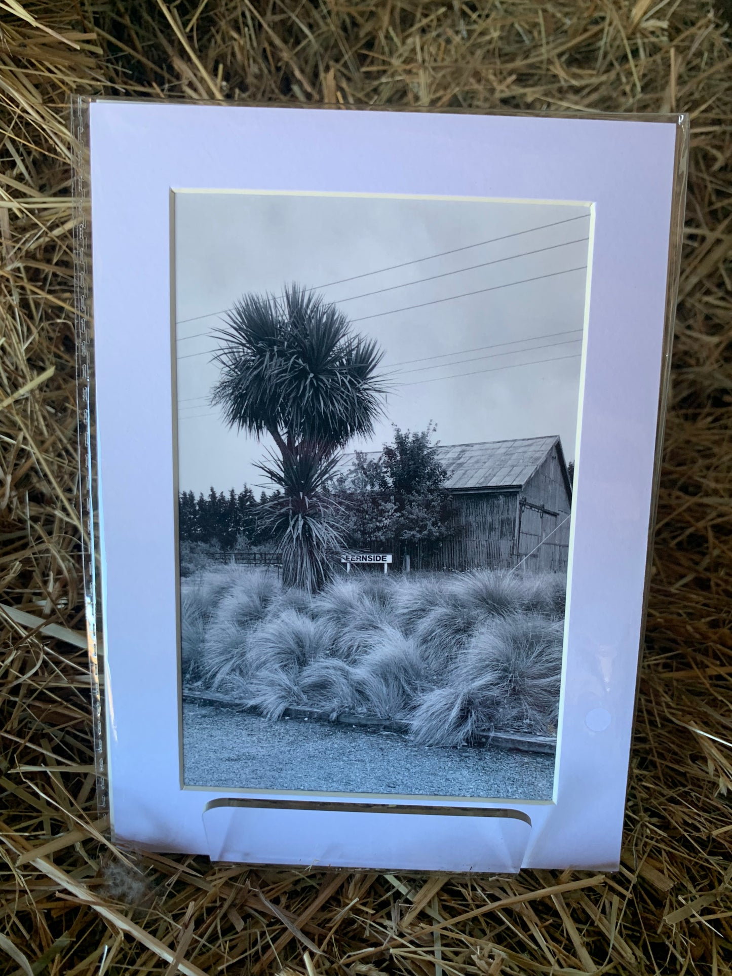 Fernside - Small - Matted