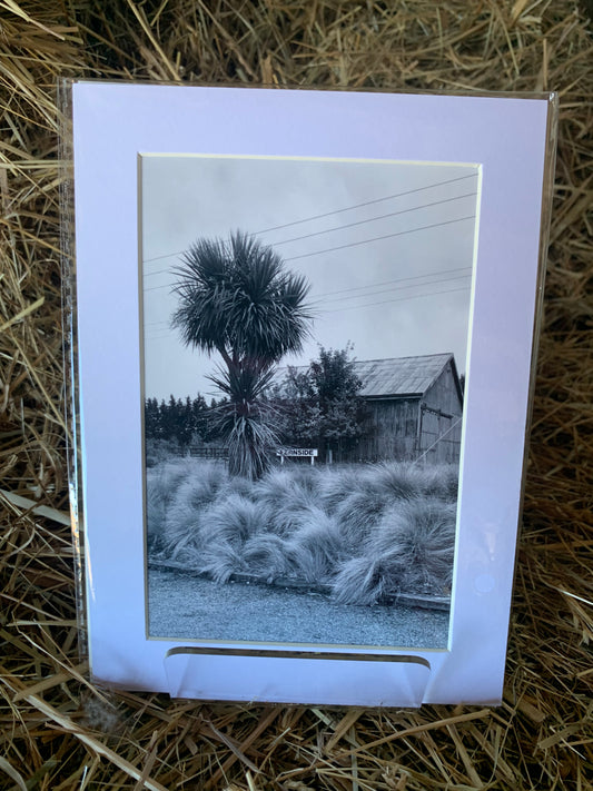 Fernside - Small - Matted