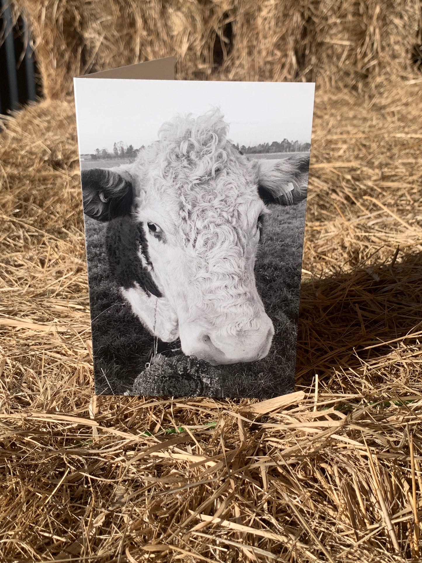 Greeting card - Copper