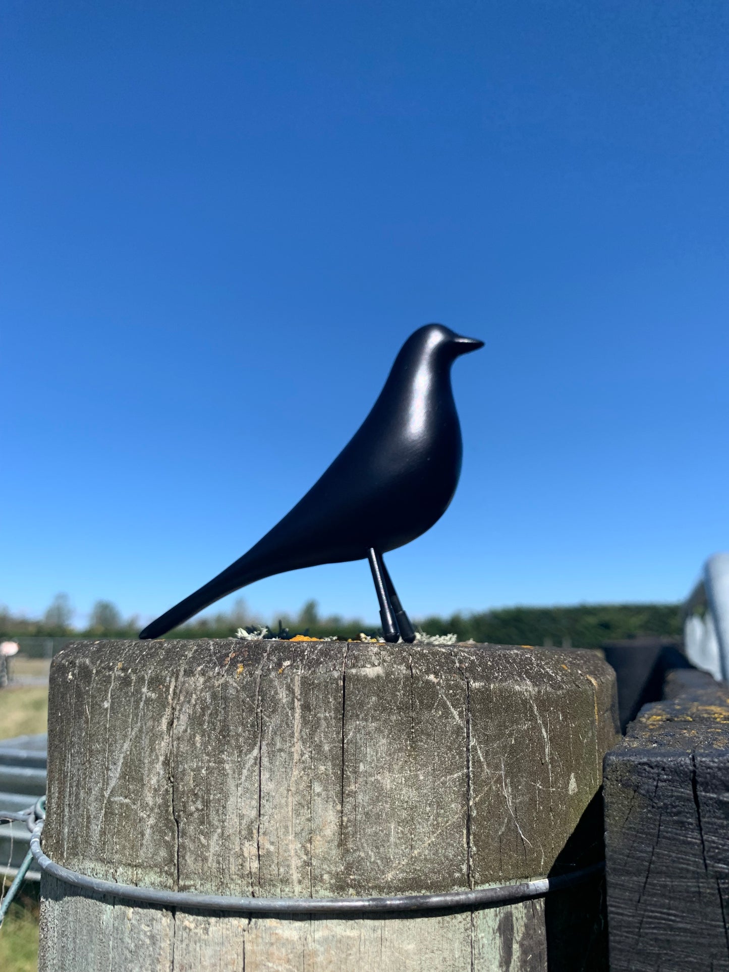 Art deco bird - Black