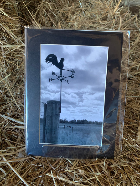 Weathervane - Small - Matted