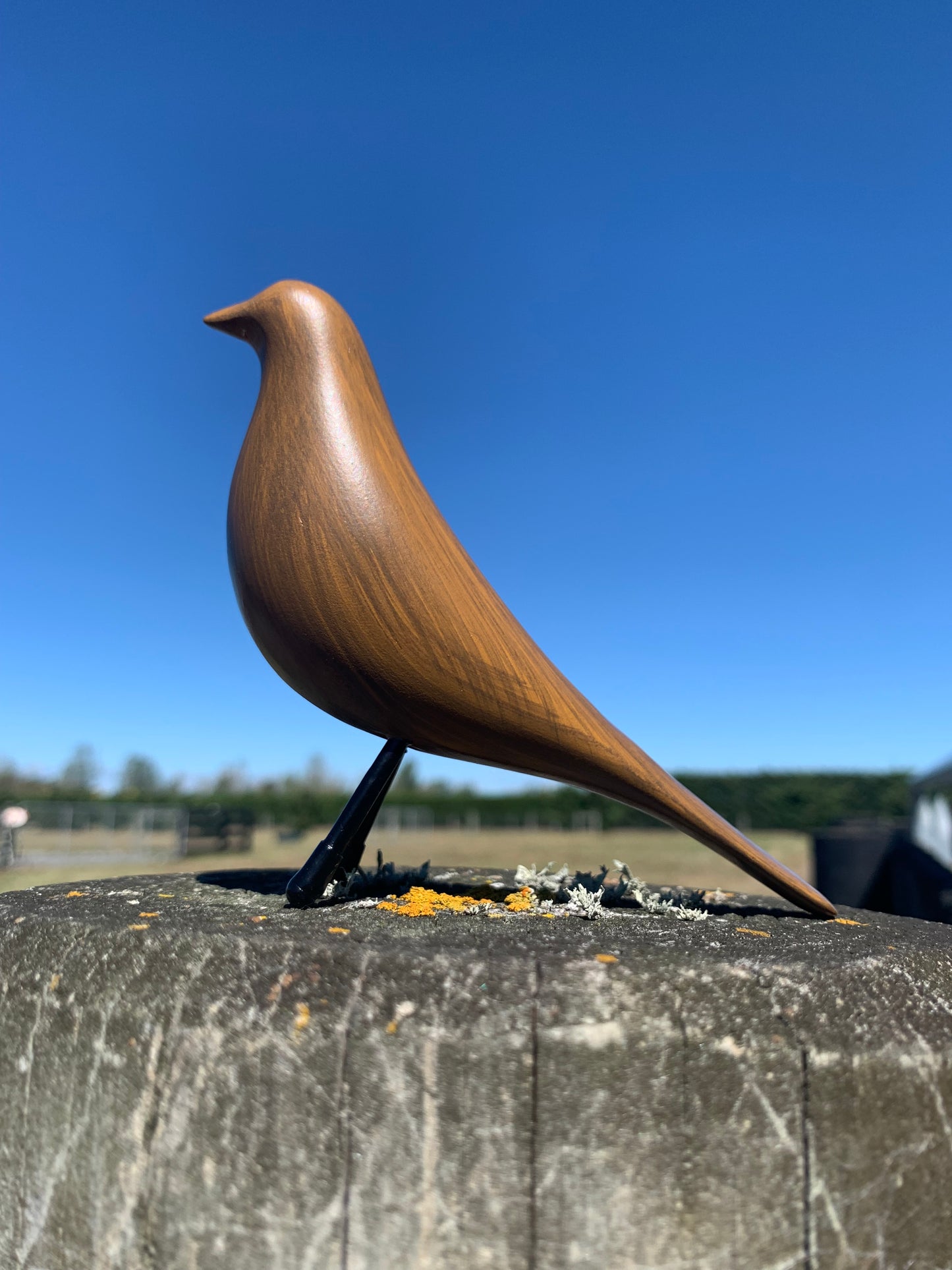 Art deco bird - Wood look