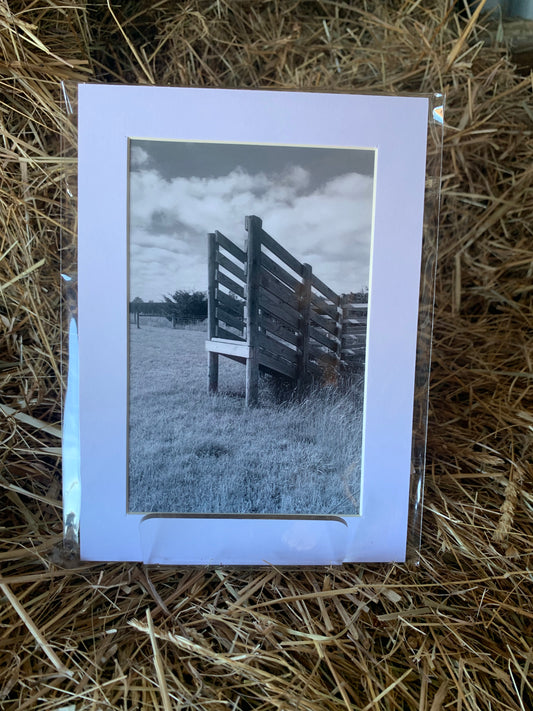 Cattle ramp -  Small - Matted