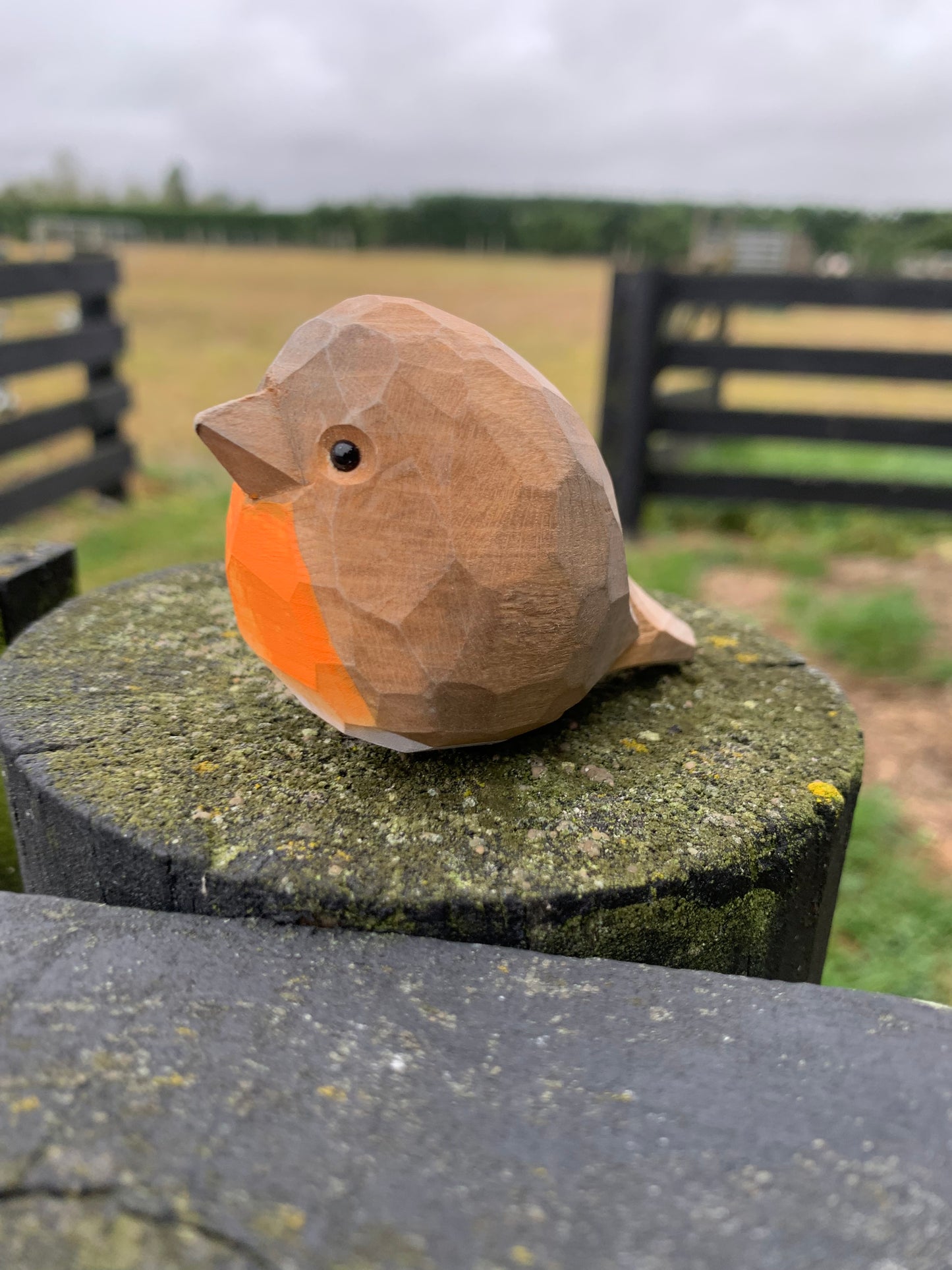 Bird - Little Robbin