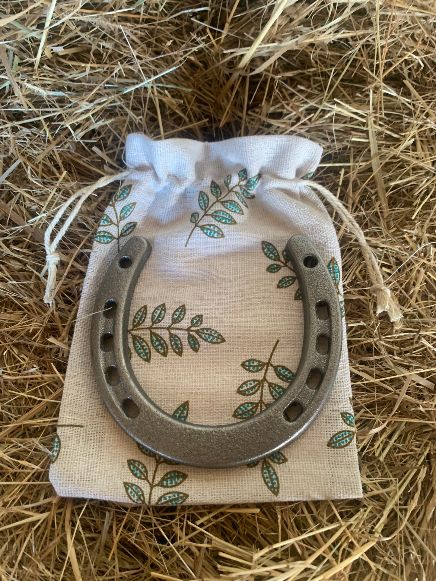 Lucky horse shoe