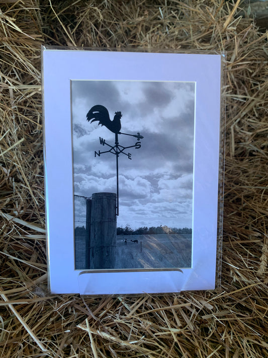 Weathervane - Small - Matted