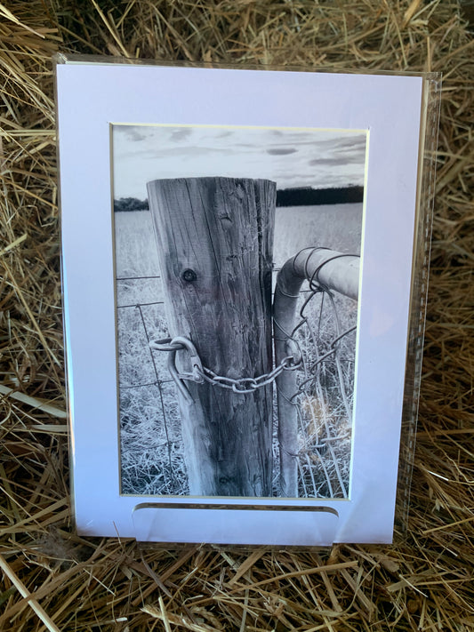 Fence post - Small - Matted