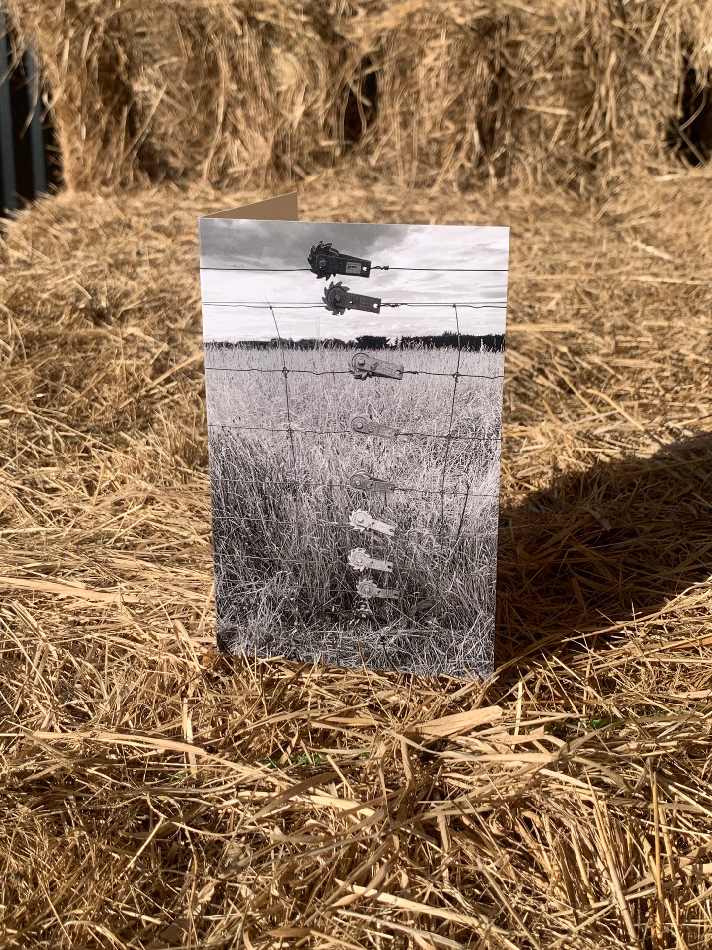 Greeting card - Fence