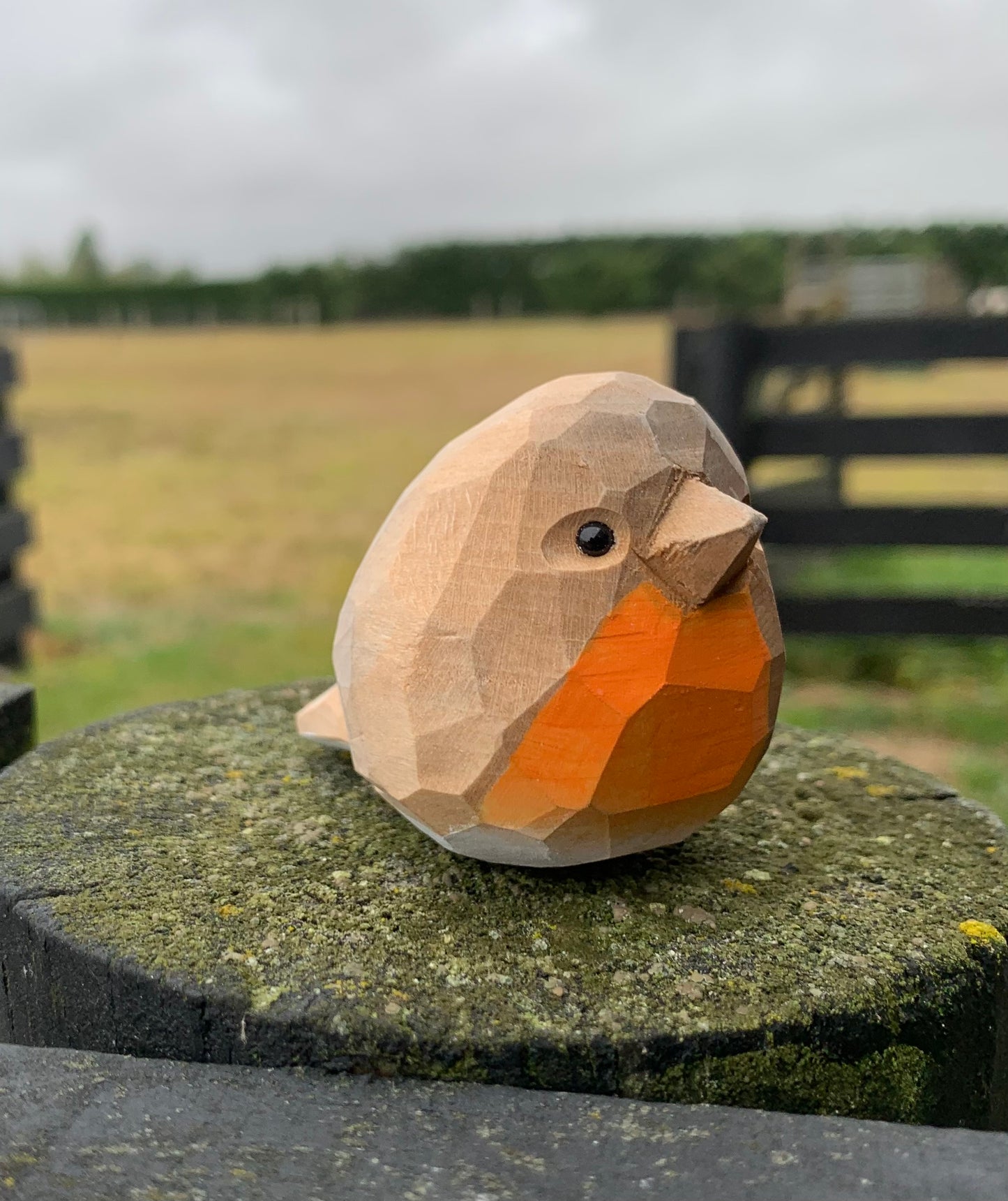 Bird - Little Robbin
