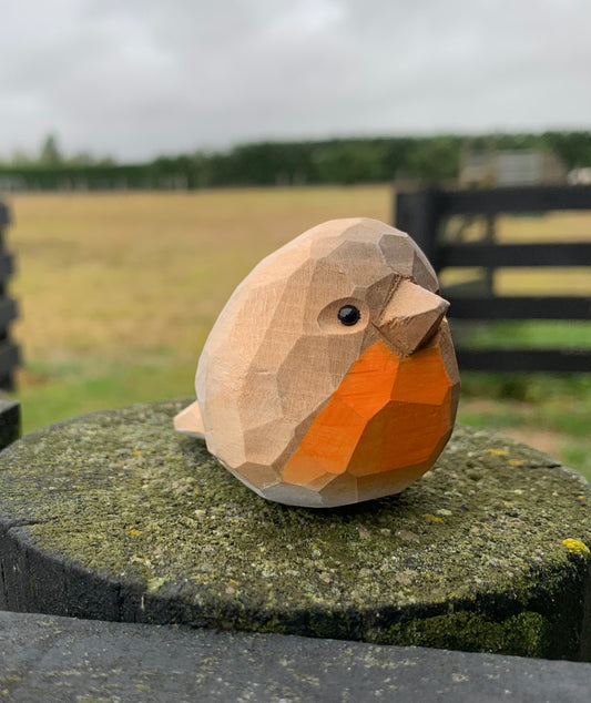 Bird - Little Robbin