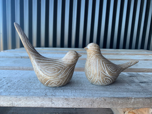 Bird pair