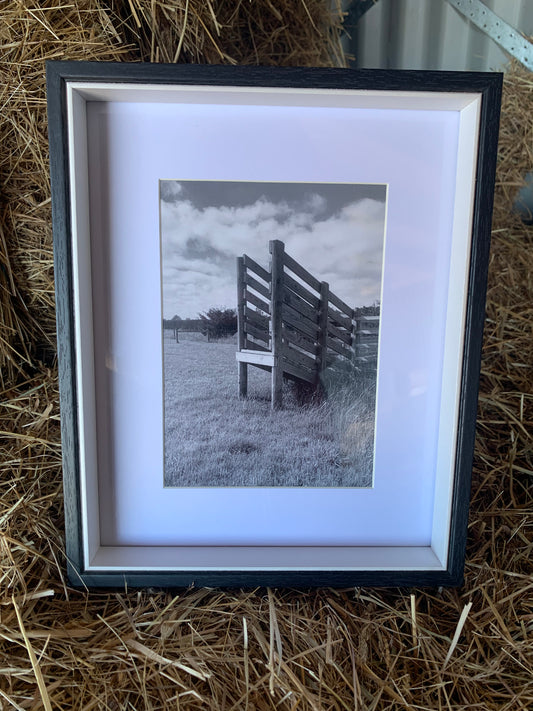 Cattle ramp - Framed