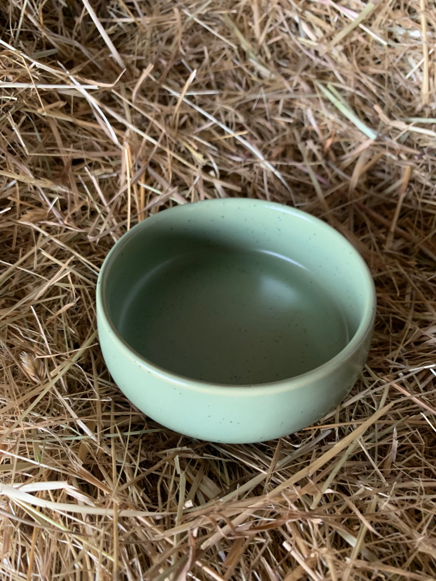 Jewellery dish - Green