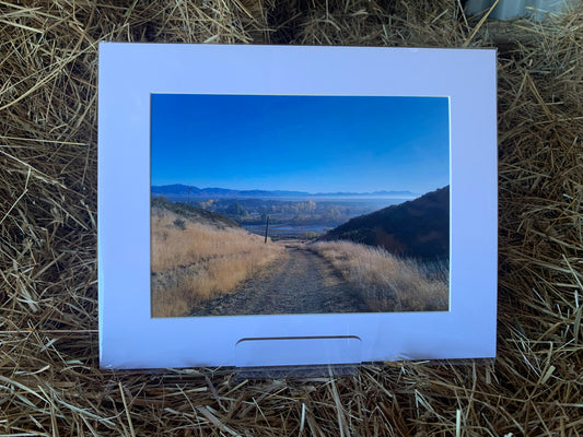 Old dirt road - Large - Matted