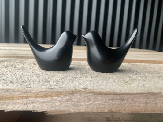 Black bird couple