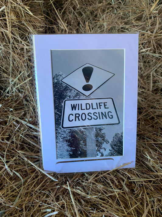 Wildlife crossing - Small - Matted